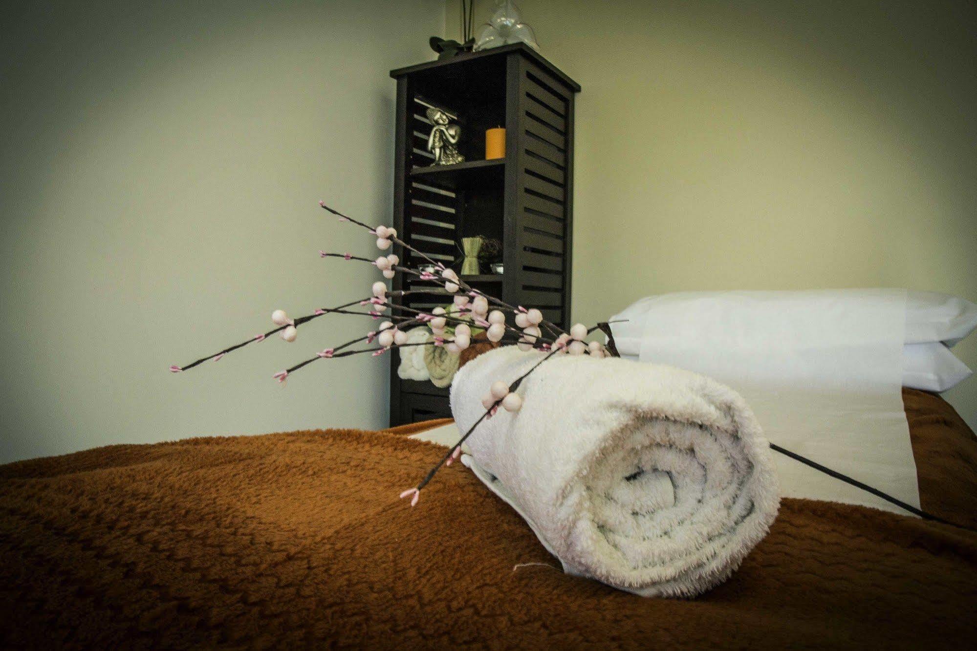 River Mansion Spa Llandysul Extérieur photo